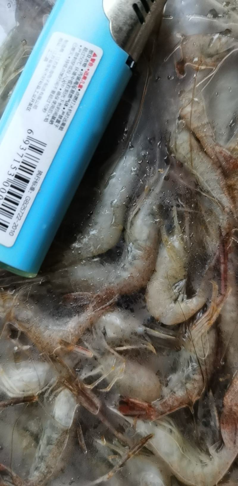 产地一手货源456规格河虾