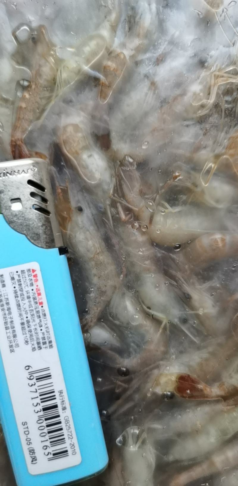 产地一手货源456规格河虾