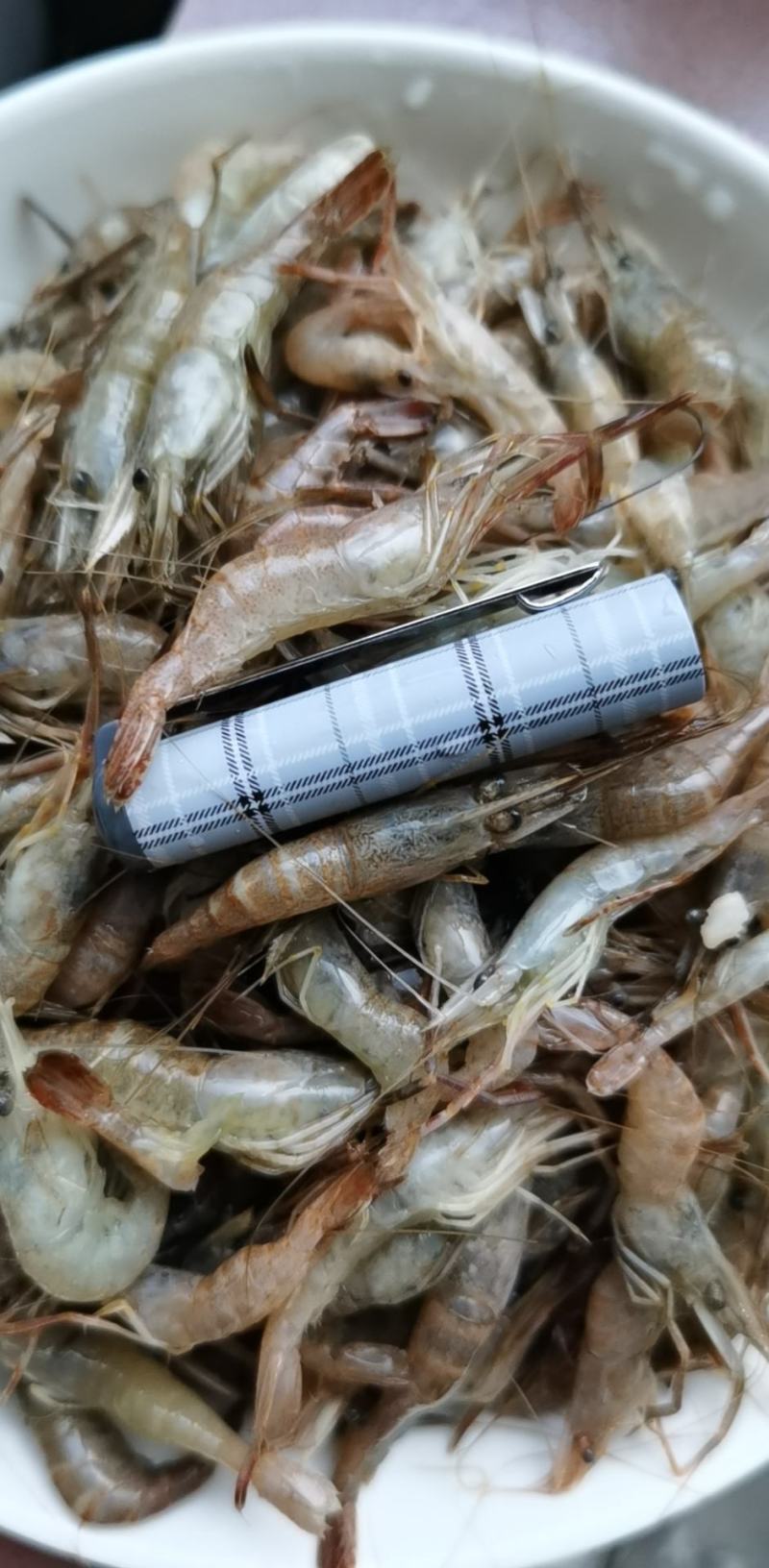 产地一手货源456规格河虾
