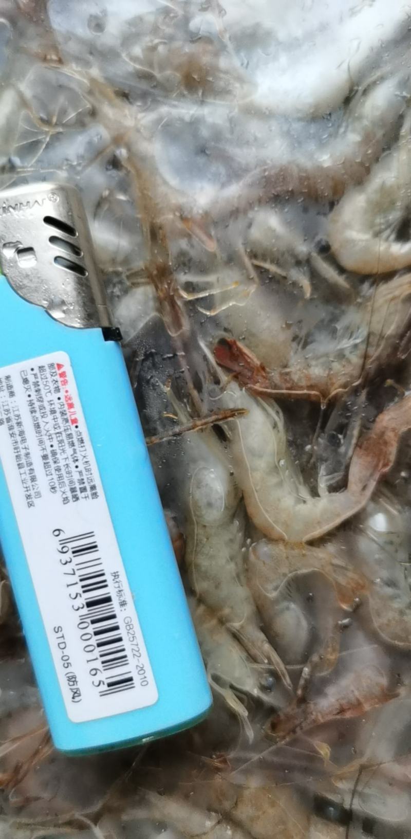 产地一手货源456规格河虾