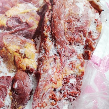亿米特鼎丰源蒙古马肉四分体