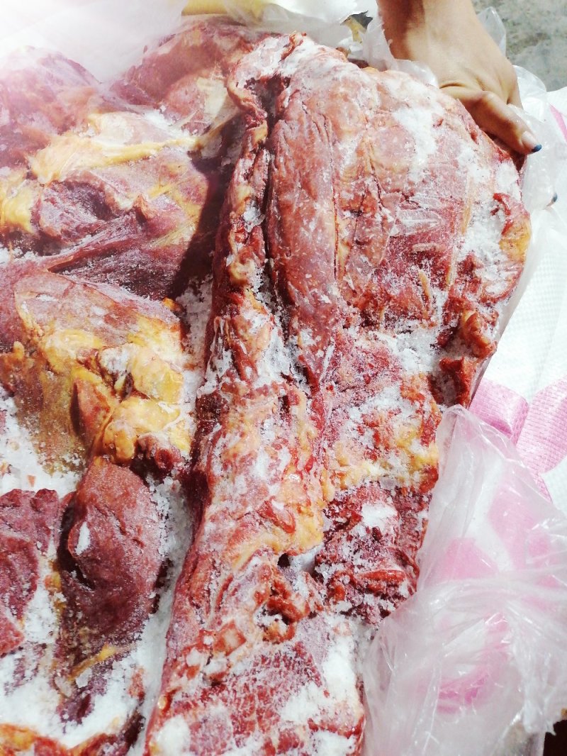 亿米特鼎丰源蒙古马肉四分体