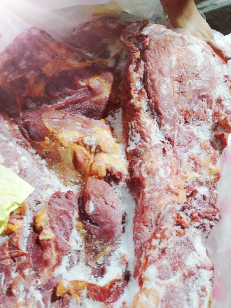 亿米特鼎丰源蒙古马肉四分体