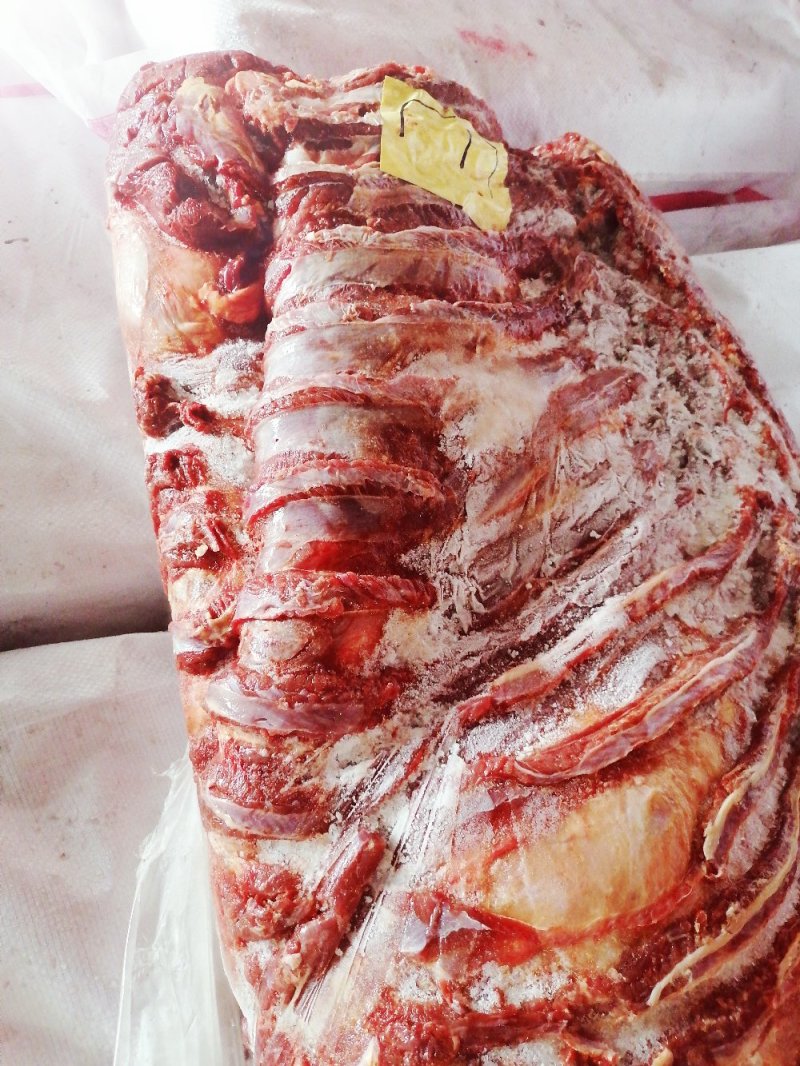 亿米特鼎丰源蒙古马肉四分体