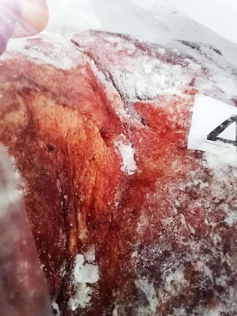 亿米特鼎丰源蒙古马肉四分体
