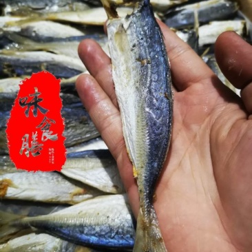 真食膳巴浪鱼干福建特产