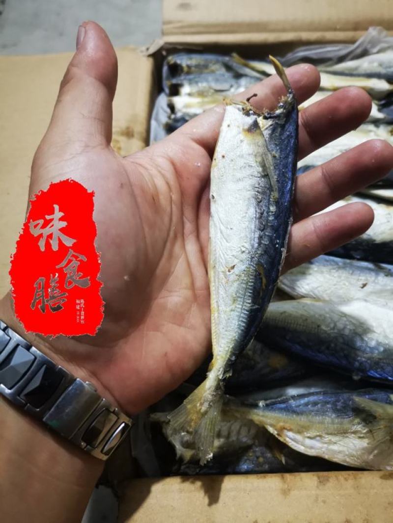 真食膳巴浪鱼干福建特产