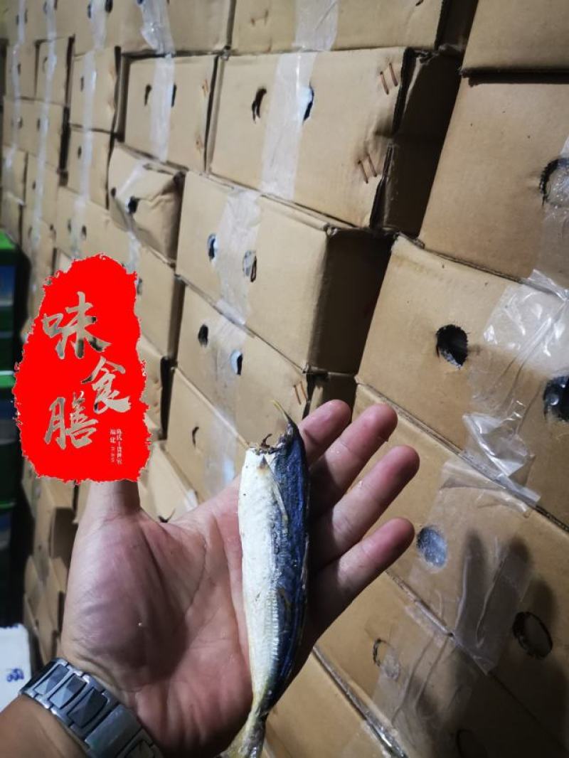 真食膳巴浪鱼干福建特产