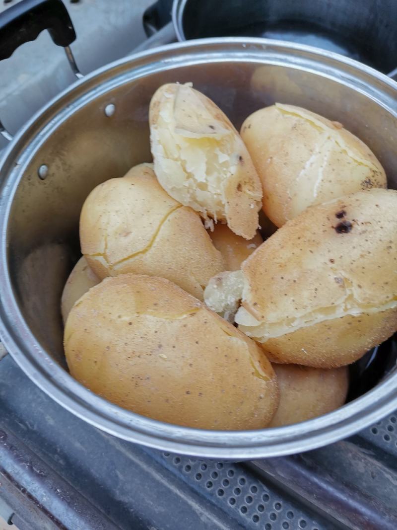 甘肃土豆228白心土豆大量有货，可视频看货白心土豆