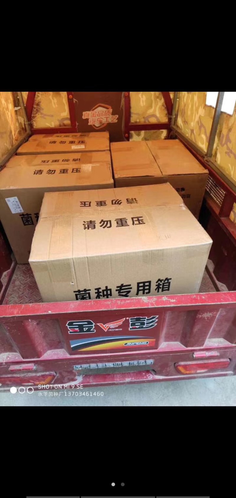 河北平菇菌种专业种植基地栽培种专业制作
