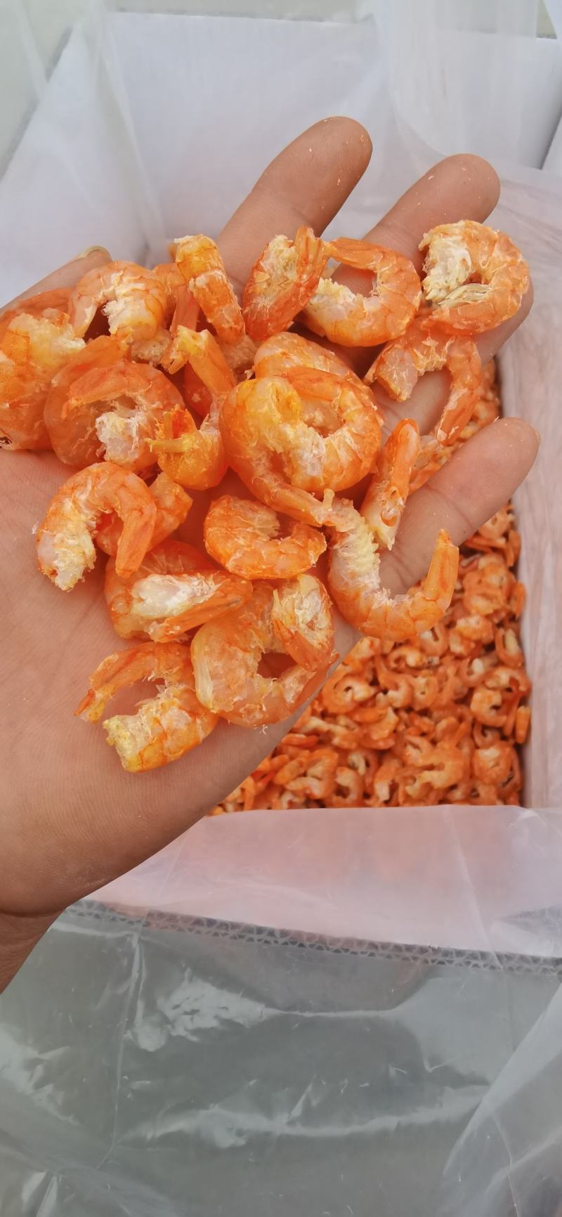 虾干虾仁海米一手货源加工商