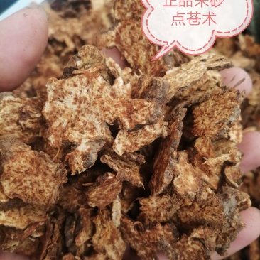 包邮苍术别名：赤术青术仙术南苍术矛术，货干颜色漂亮有现货