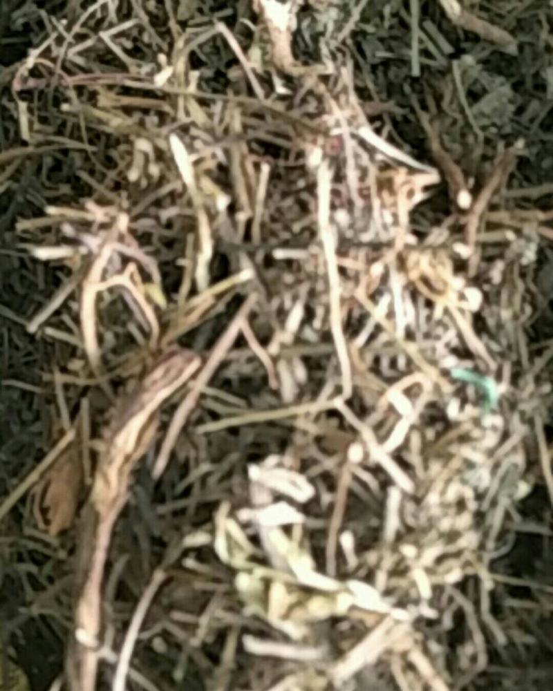 农吉利，常年批发供应冷背中药材农吉利