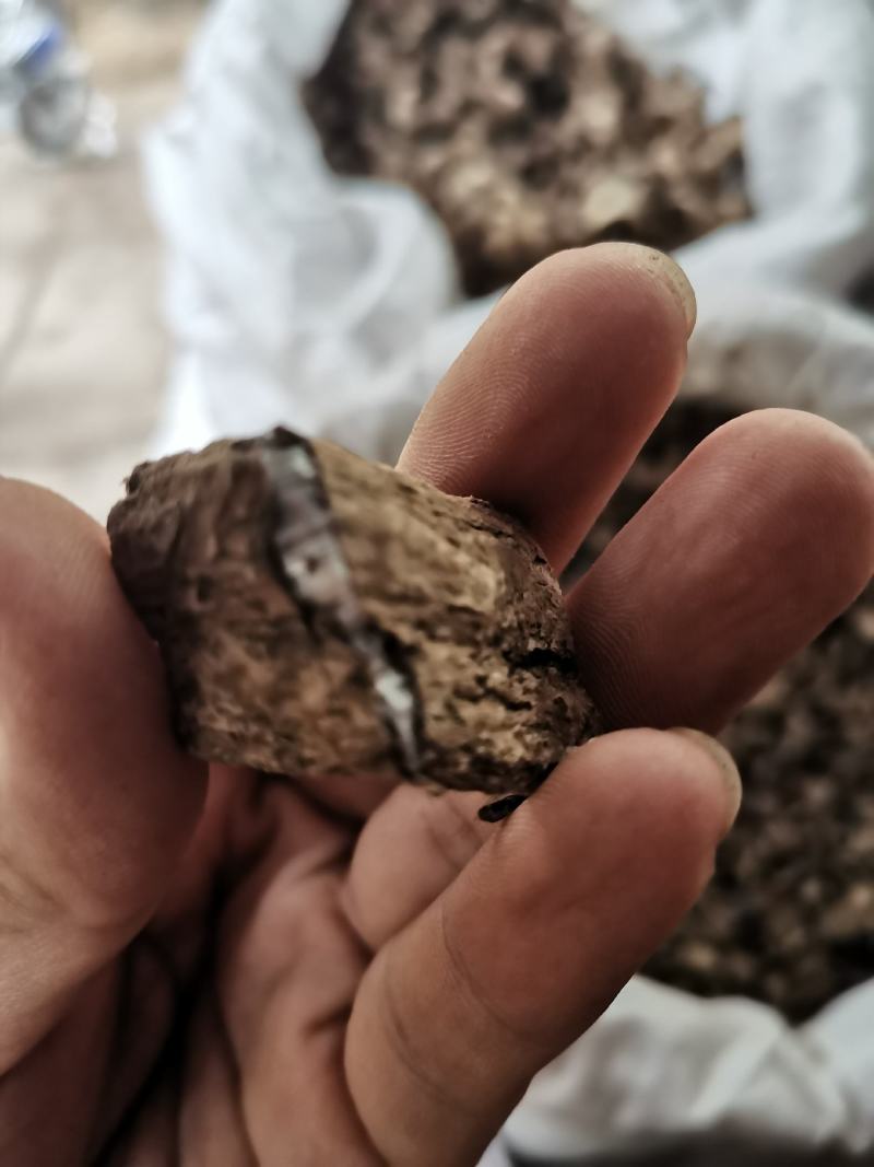 杜仲无硫干货方块选货厚皮质量放心一公斤起发货