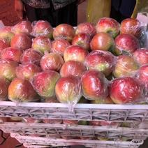 美八苹果，苹果，山东万亩苹果口感脆甜，一手货源，