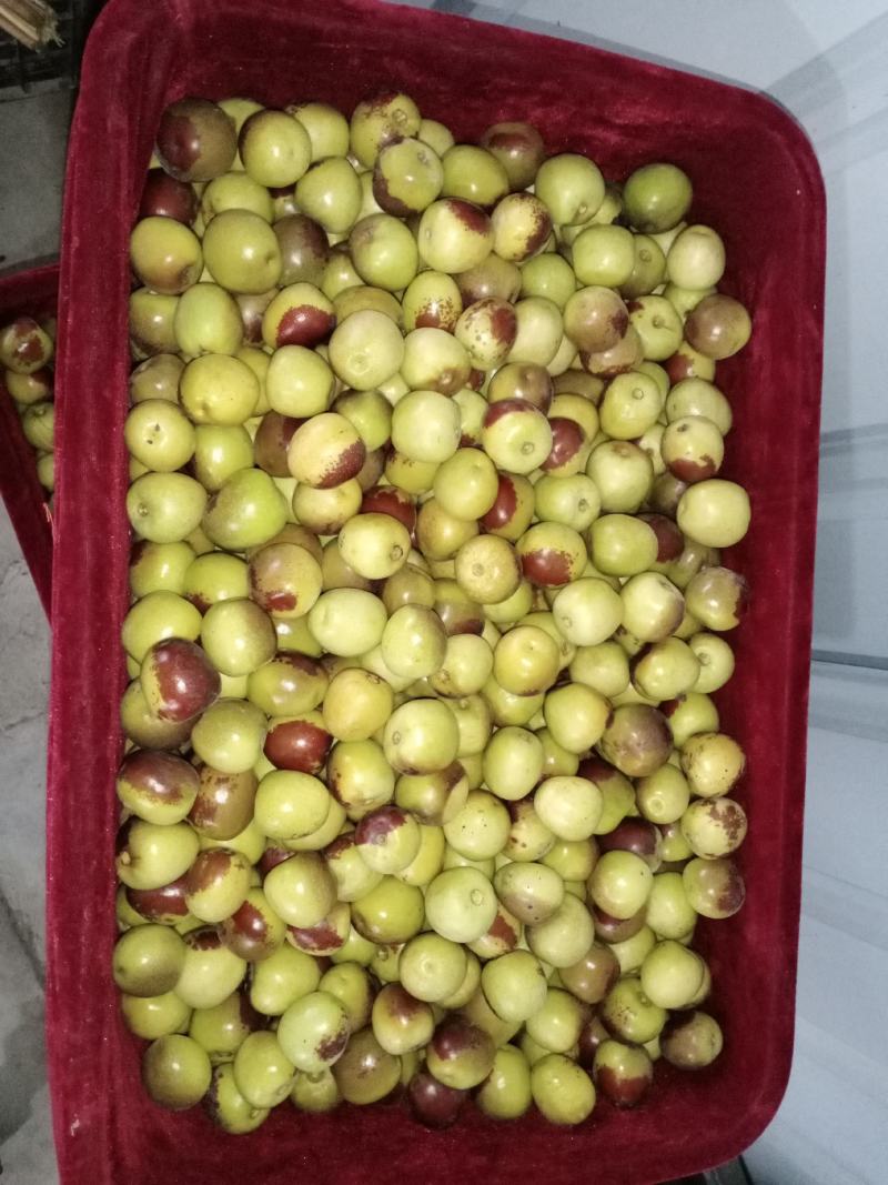 新疆西域冰糖枣脆冬枣