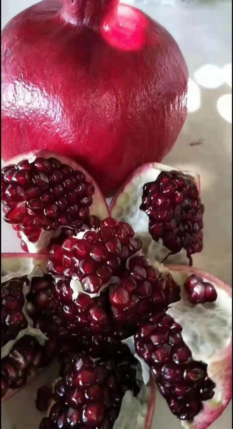 突尼斯软籽高端石榴！