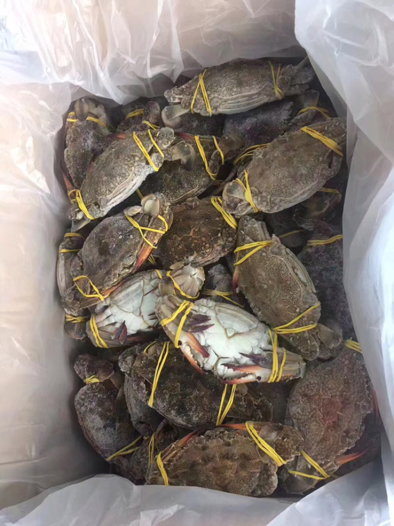 梭子蟹，冻品，肉质饱满，公母通货，欢迎合作