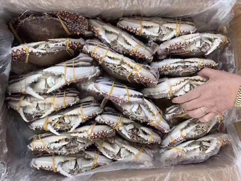 梭子蟹，冻品，肉质饱满，公母通货，欢迎合作