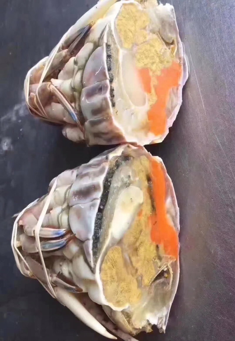 梭子蟹，冻品，肉质饱满，公母通货，欢迎合作