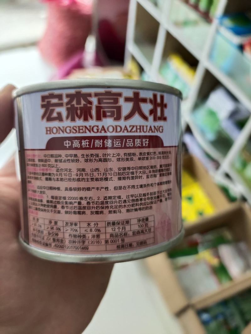 宏森高大壮洋葱种子种籽欧兰德洋葱种子紫红皮半高壮高产