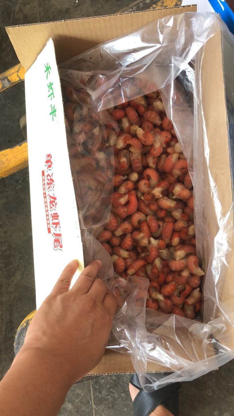 便宜龙虾尾大量批发零售