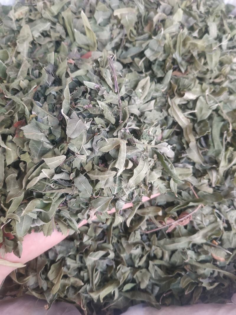 罗布麻～新货～质量保证～1公斤起售～诚信合作~