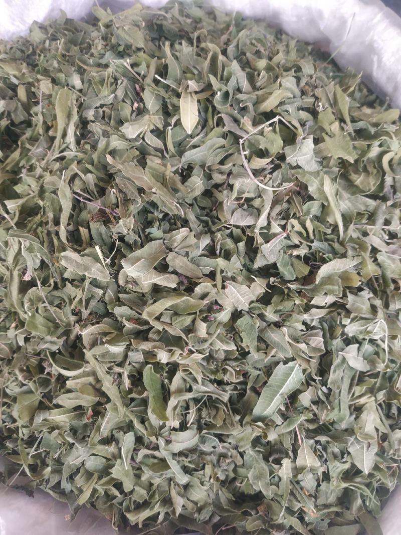 罗布麻～新货～质量保证～1公斤起售～诚信合作~