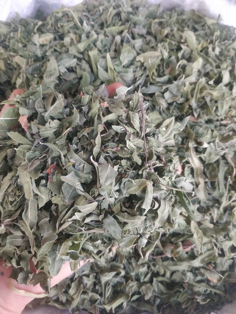 罗布麻～新货～质量保证～1公斤起售～诚信合作~
