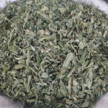 罗布麻～新货～质量保证～1公斤起售～诚信合作~