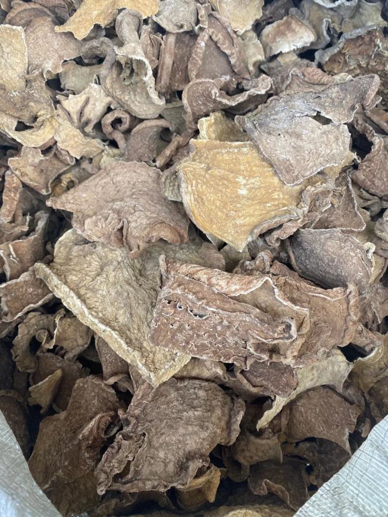金不换，金龟莲质量保证