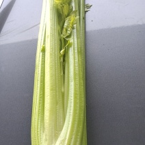 精品西芹剁头菜欢迎选购