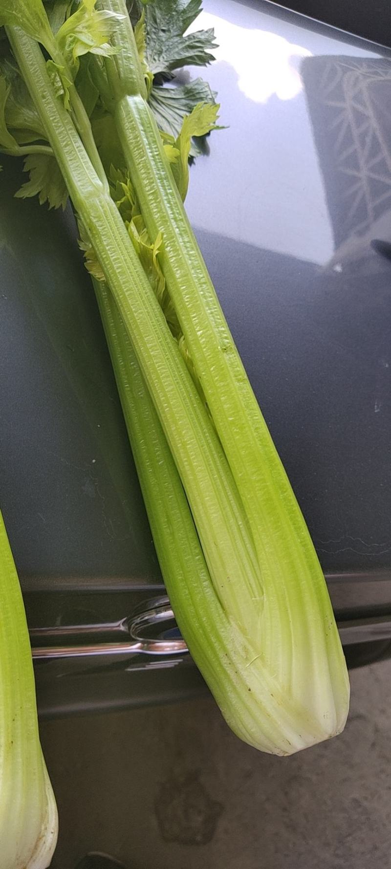 精品西芹剁头菜欢迎选购