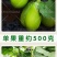 比亚久7159茄子种子1000粒/袋肉质细腻商品亮丽品质