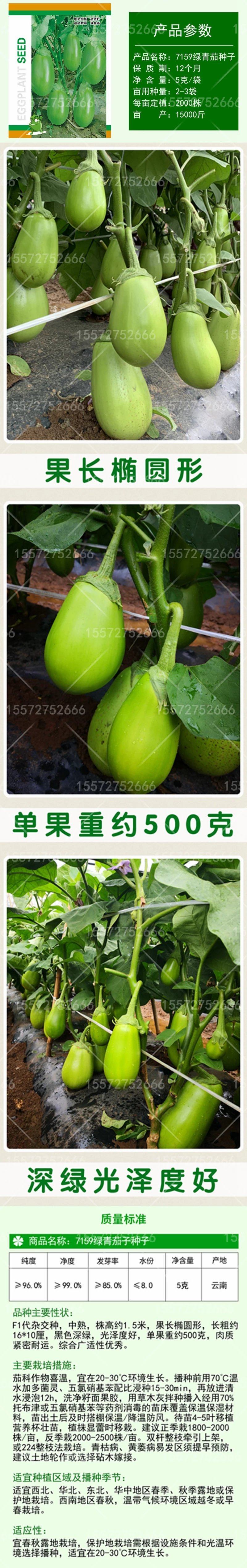 比亚久7159茄子种子1000粒/袋肉质细腻商品亮丽品质