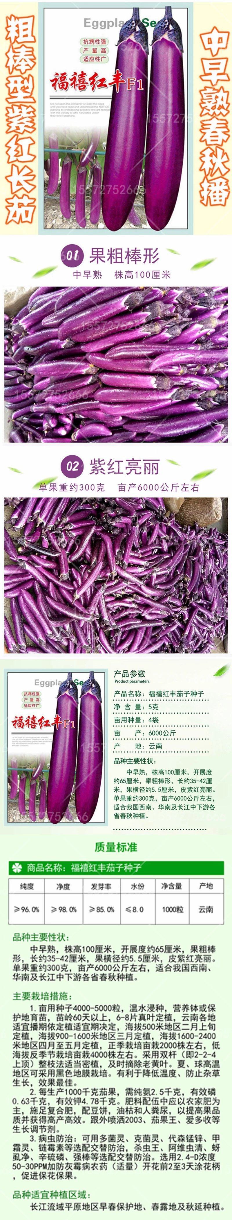 比亚久7159茄子种子1000粒/袋肉质细腻商品亮丽品质