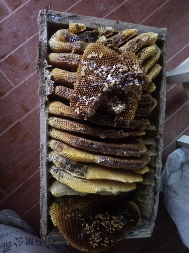 来自甘肃陇南的优质土蜂蜜