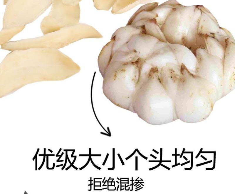 湖南特产忆晶香牌足干无硫原色百合一件代发