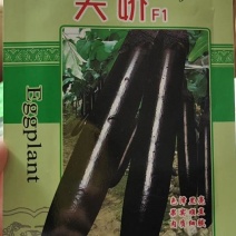 茄子种子新品种子上市发芽率高