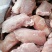 不带皮鸭胸肉（六和产品值得信赖）一箱20斤