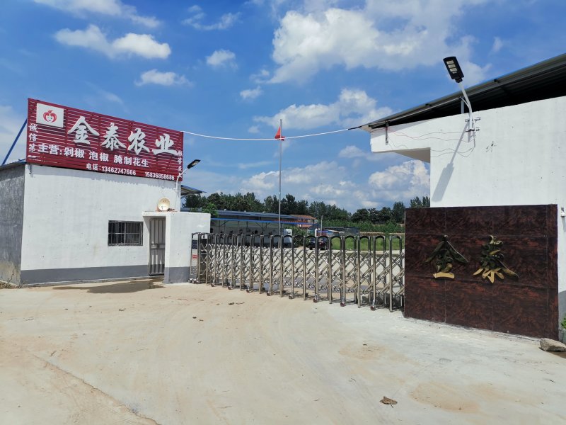艳红剁椒，金泰农业加工