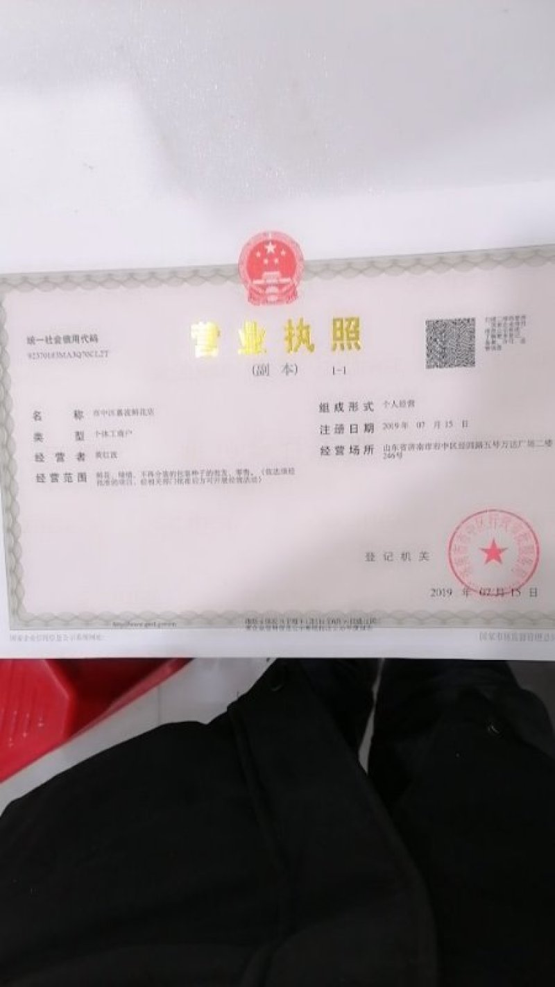 野豌豆种子箭舌豌豆优质高效绿肥饲肥兼用适应性广抗逆性强