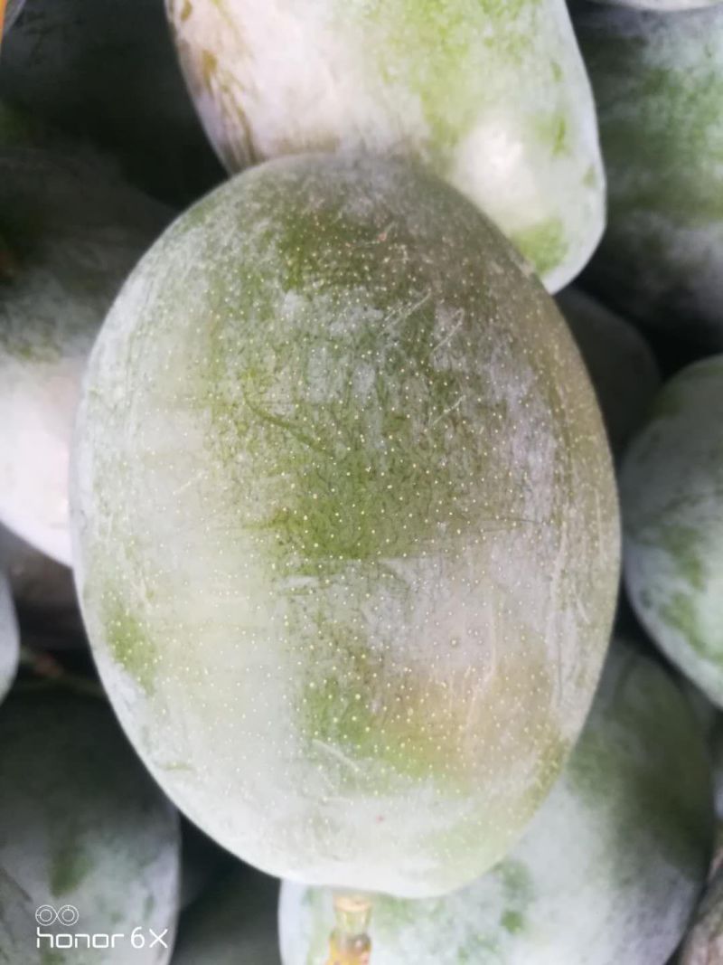 精品凯特芒10斤装，量大私聊