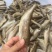 小黄花鱼冻货小鱼，跑江湖地摊货源一件24斤