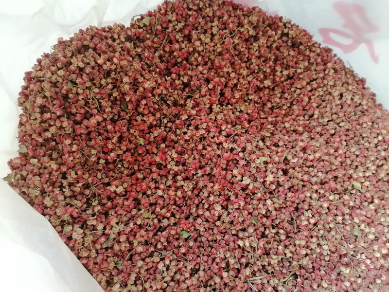 大红袍花椒(包邮图片实拍)特香，特麻，特净，颜色正