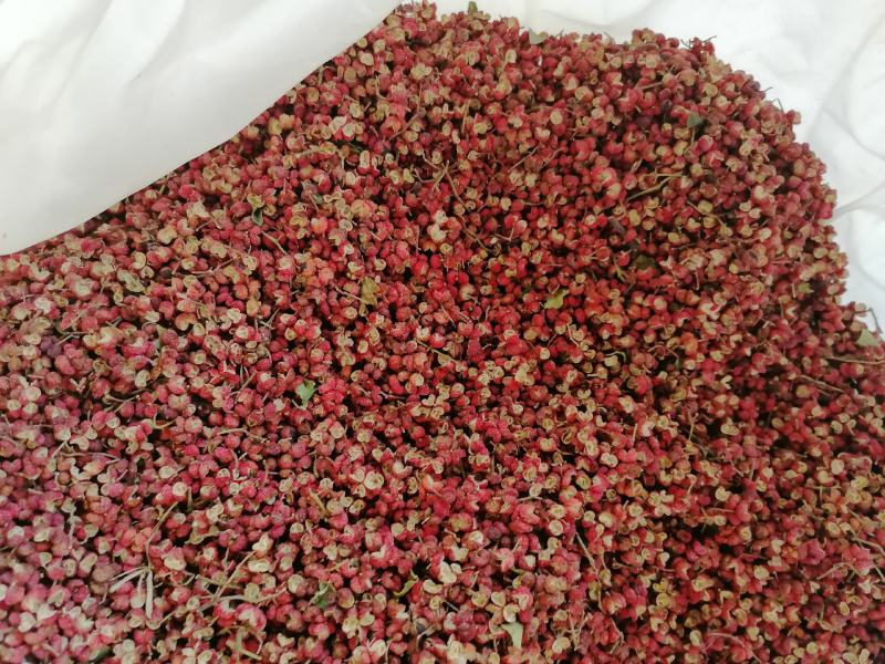 陕西大红袍花椒(包邮，实拍)货真价实，大量现货供应