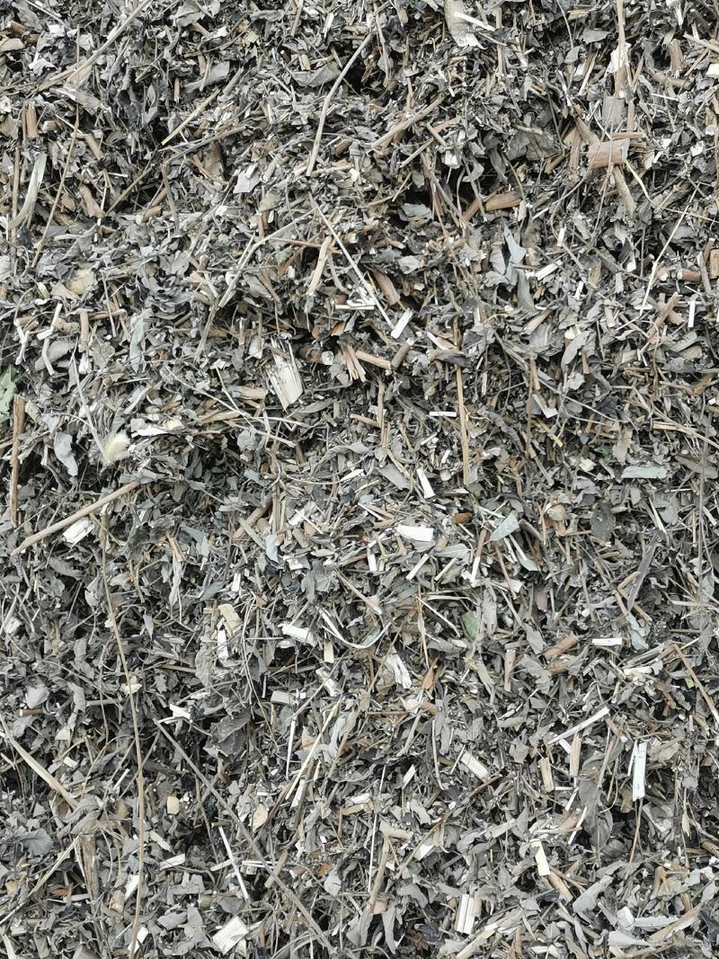 大量优质黄荆树