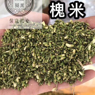 槐米槐米保庆药材批发槐米实物拍摄！颜色青
