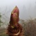 刺老芽，刺耳包，红尖下山桩大苗，