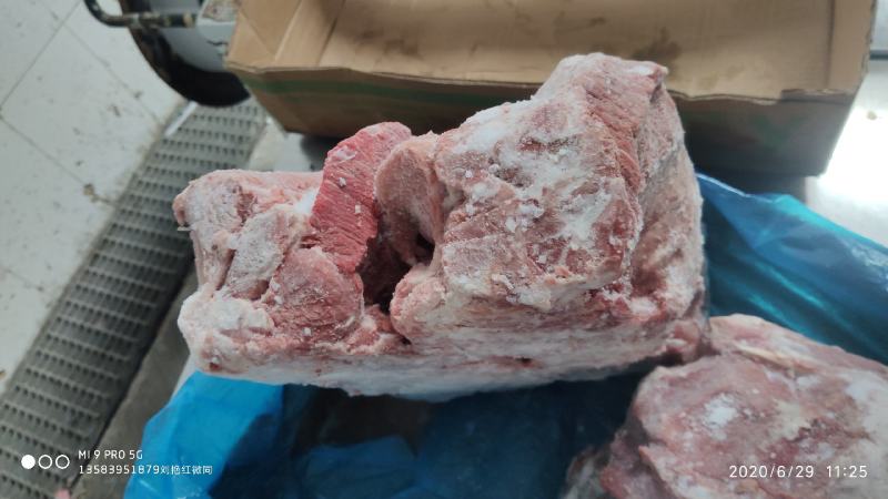 冻猪产品国产的母猪大板一号